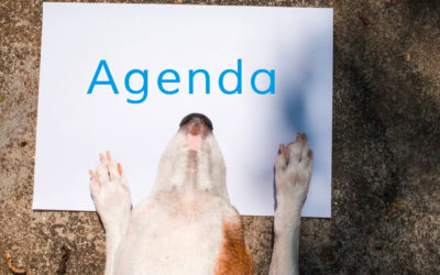 L’agenda 2022