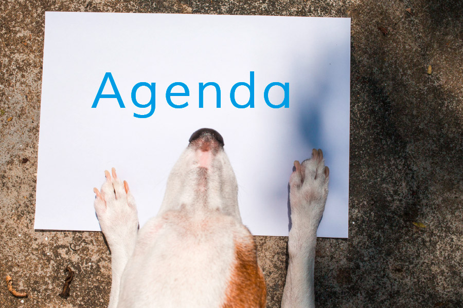 L’agenda 2022