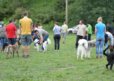 Education canine Annecy