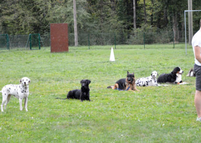 Education canine Annecy