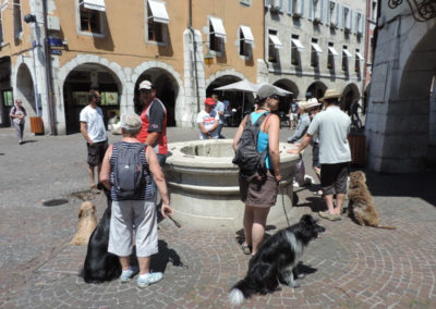 Education canine Annecy