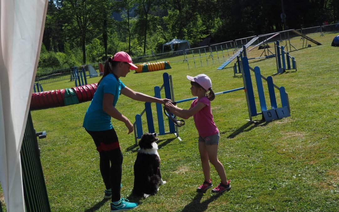 Concours Agility du 30 juin 2018 (Dauphiné Libéré du 2 juillet 2018)