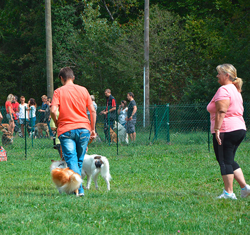 Education canine Annecy