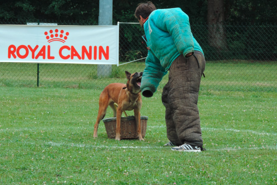 Ring-Annecy-2