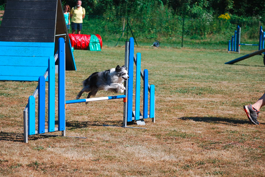 Agility Annecy