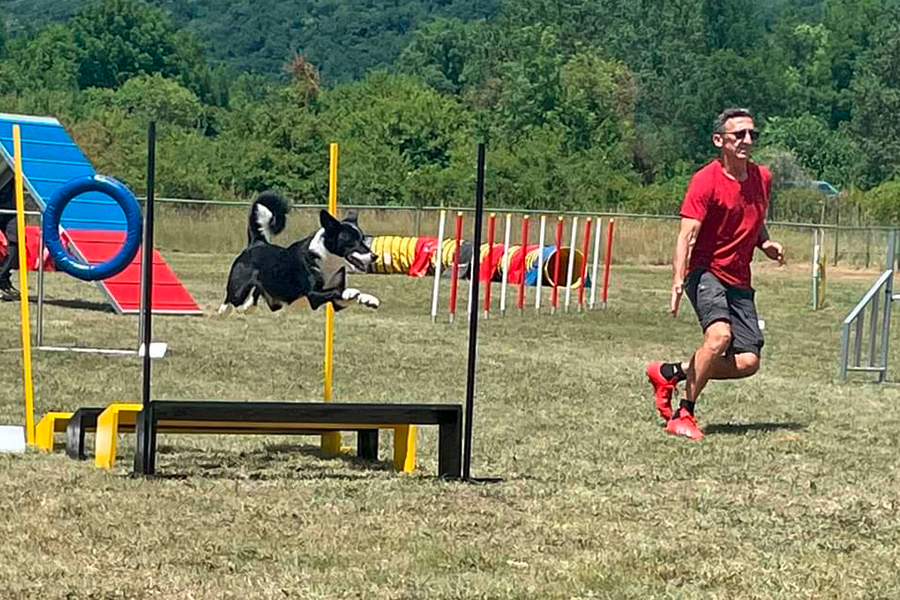 Agility Annecy