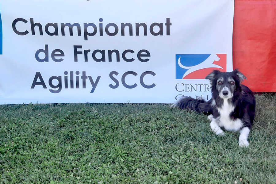 Agility Annecy