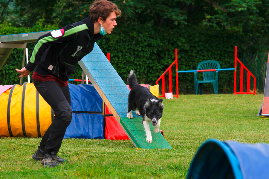 Agility Annecy