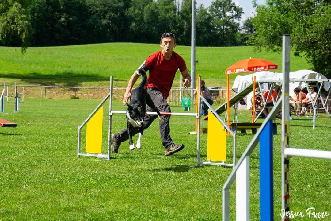 Agility 3