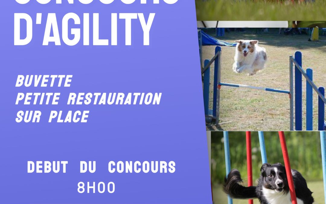 Concours Agility, dimanche 21 juillet 2024