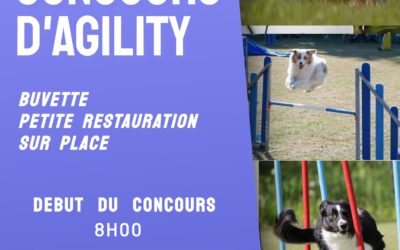 Concours Agility, dimanche 21 juillet 2024