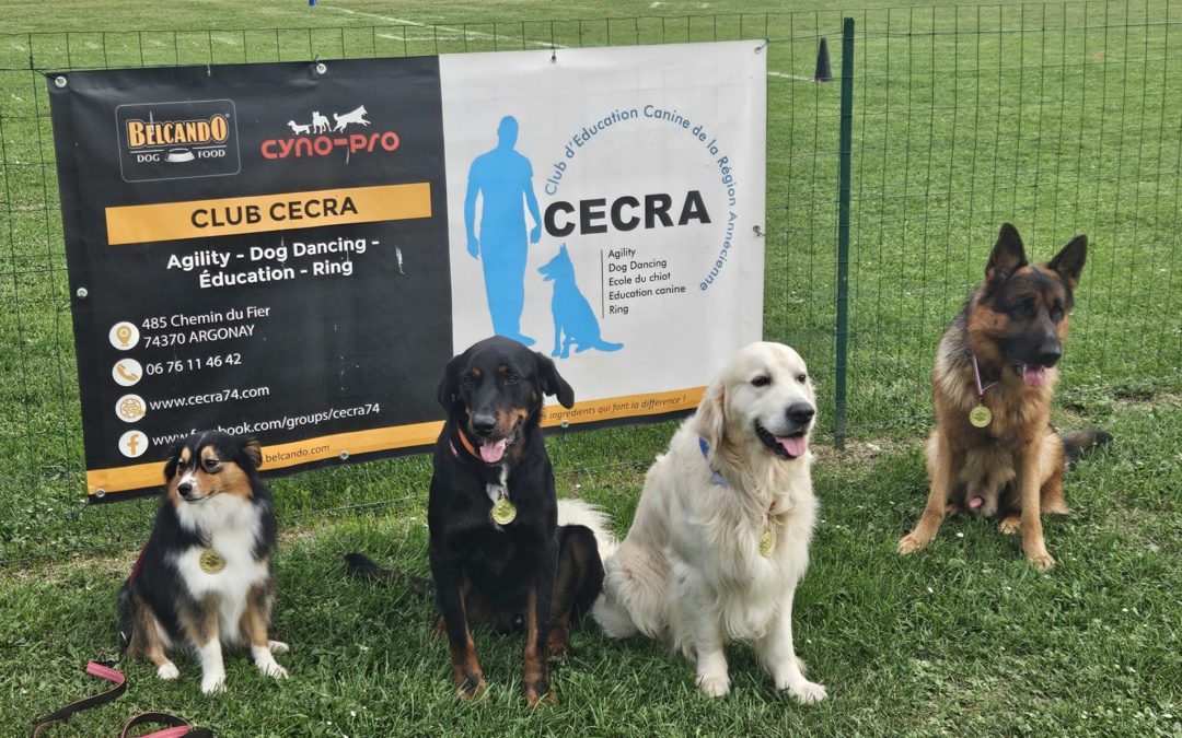 Samedu 3 janvier 2026, reprise des cours