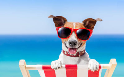 A compter du 6 juillet, c’est les vacances