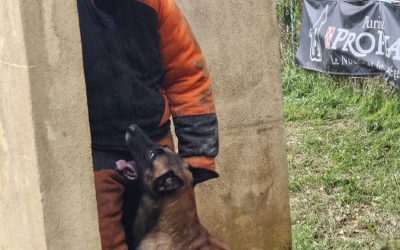 Superbe performance de Sébastien et S’Pion pour leur tout premier concours en ring 3 !