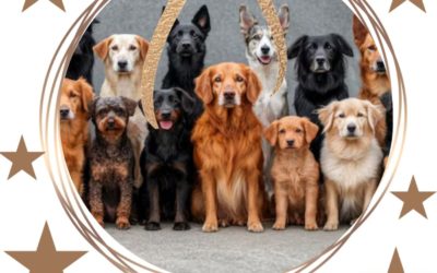 Très belle année 2026