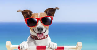 Repas de fin de saison