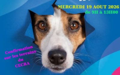 19 août 2026, Séance de Confirmation